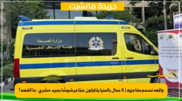 واقعة تسمم مفاجئة 6 عمال بالمنيا يتناولون عنبًا مرشوشًا بمبيد حشري.. ما القصة؟ 1